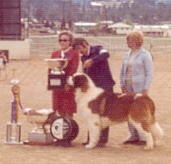 Ch. Da-Lu's Red Eagle in 1976 in Estes Park Colorado under judge Deborah Lawson