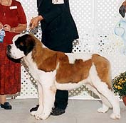 Clyde at the 2001 Buckeye specialty